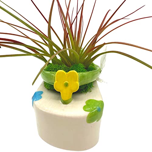 BubbleBlooms Tillandsia Planted in a Ceramic Sandal Shaped Planter, Flip Flop Pot