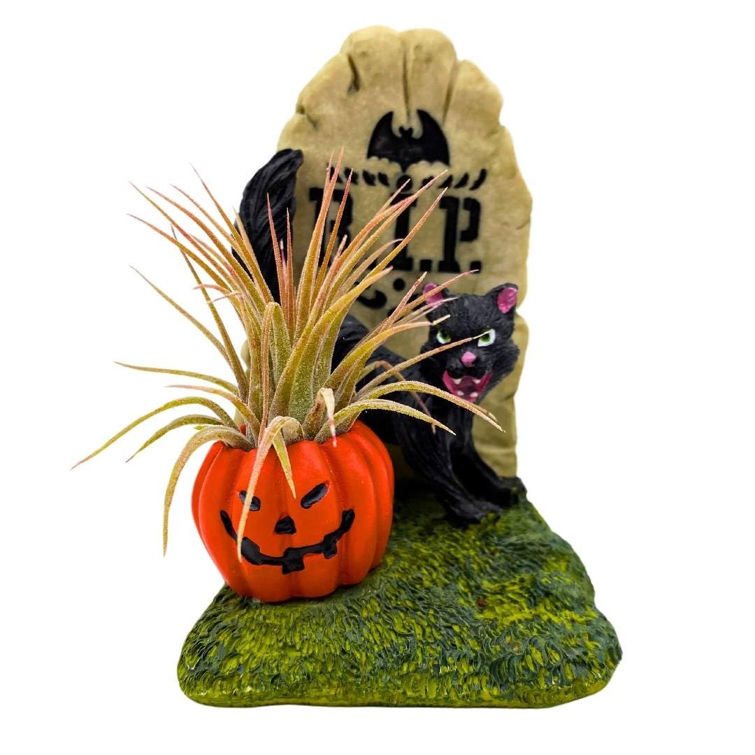 BubbleBlooms Halloween Cat Tombstone Air Plant Holder Resin Art Sculpture Hand Made