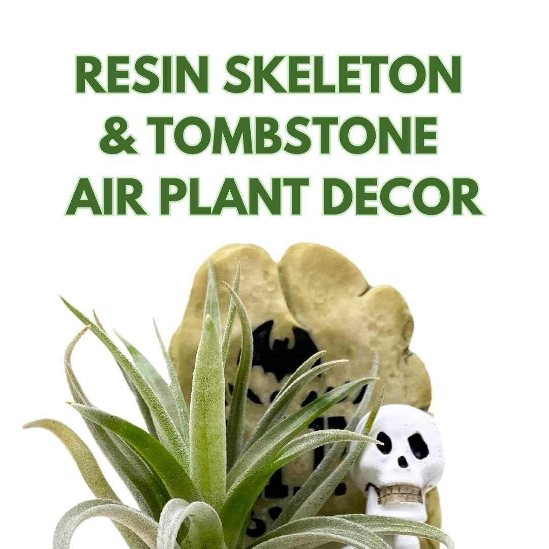 BubbleBlooms Halloween Skeleton Tombstone Air Plant Holder Resin Art Sculpture Hand Made