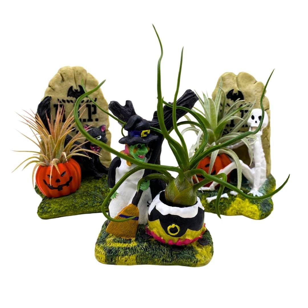 BubbleBlooms Halloween Air Plant Resin Art Sculpture Hand Made Set of 3