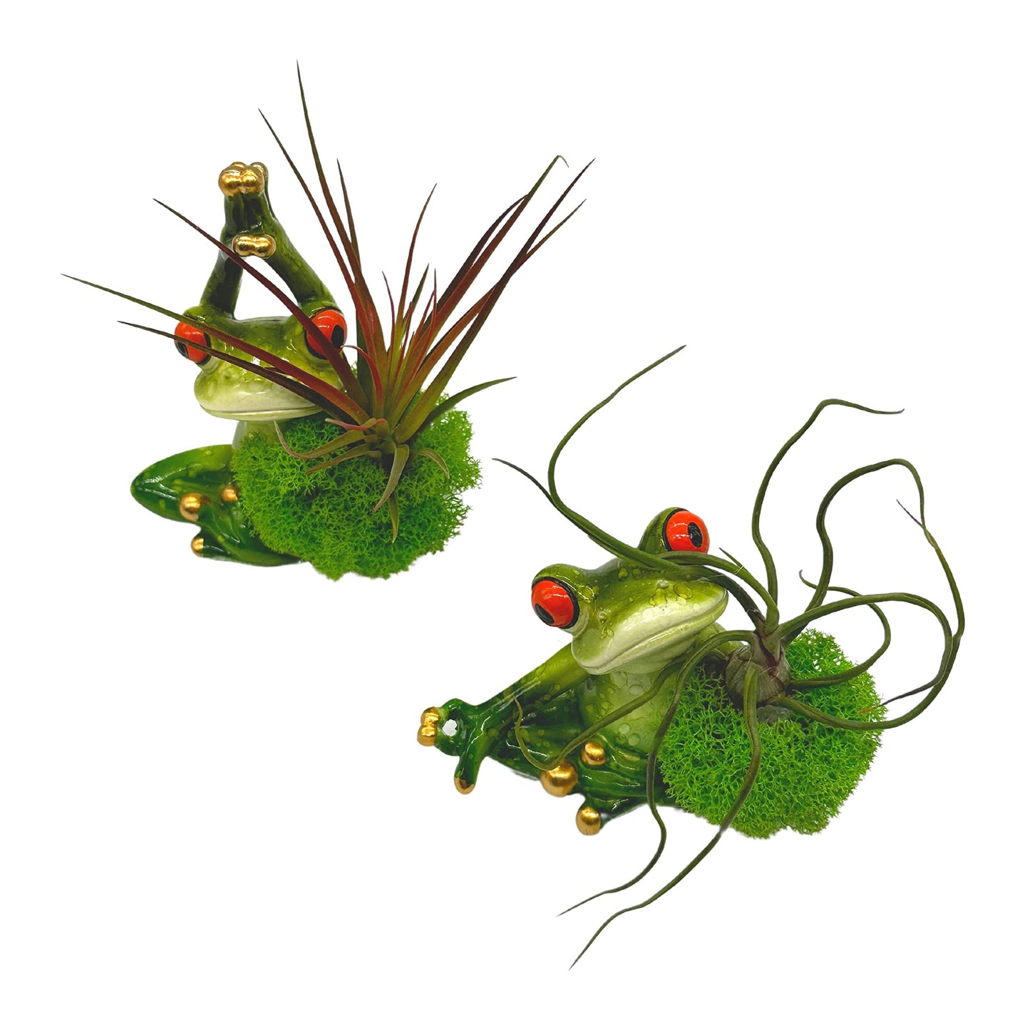 Resin Yoga Frog Air Plant Sculpture Tillandsia Planted in Hand Made Art Assorted Set of 2