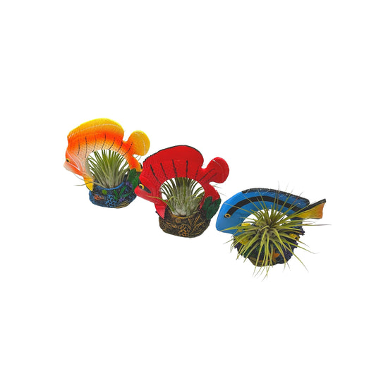 Resin Tropical Fish Air Plant Sculpture Tillandsia Planted in Hand Made Art Assorted Set of 3