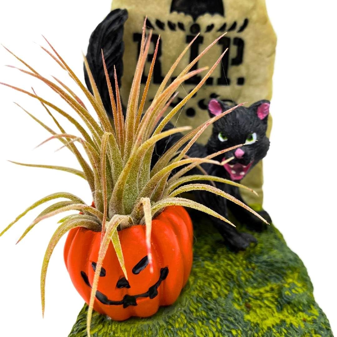 BubbleBlooms Halloween Cat Tombstone Air Plant Holder Resin Art Sculpture Hand Made