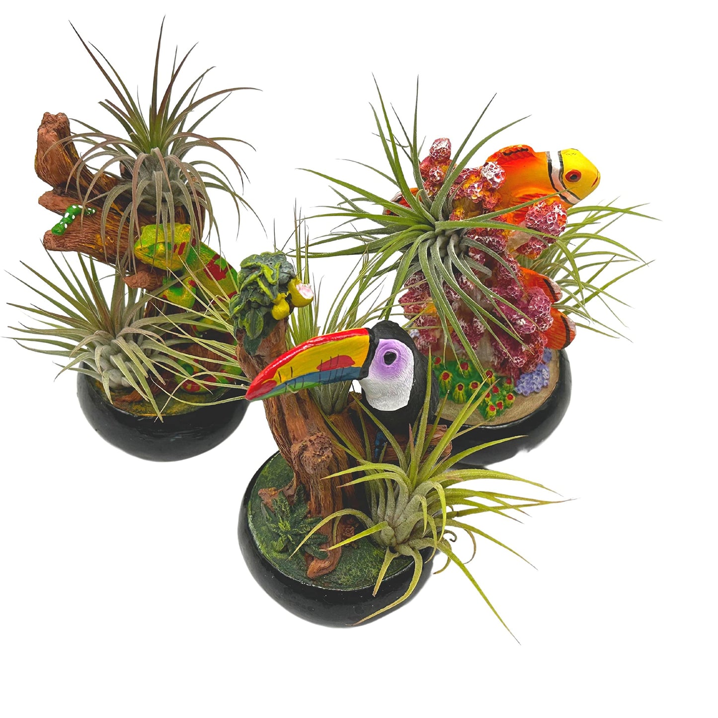 Resin Tropical Animal Air Plant Sculpture Tillandsia Planted in Hand Made Art Assorted Set of 3