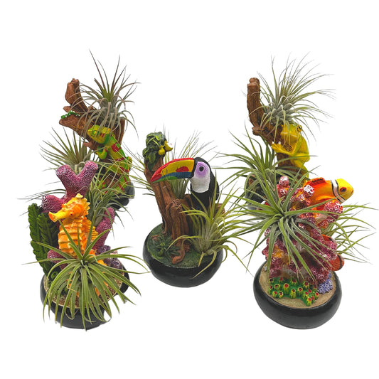 Resin Tropical Animals Air Plant Sculpture Tillandsia Planted in Hand Made Art Assorted Set of 5