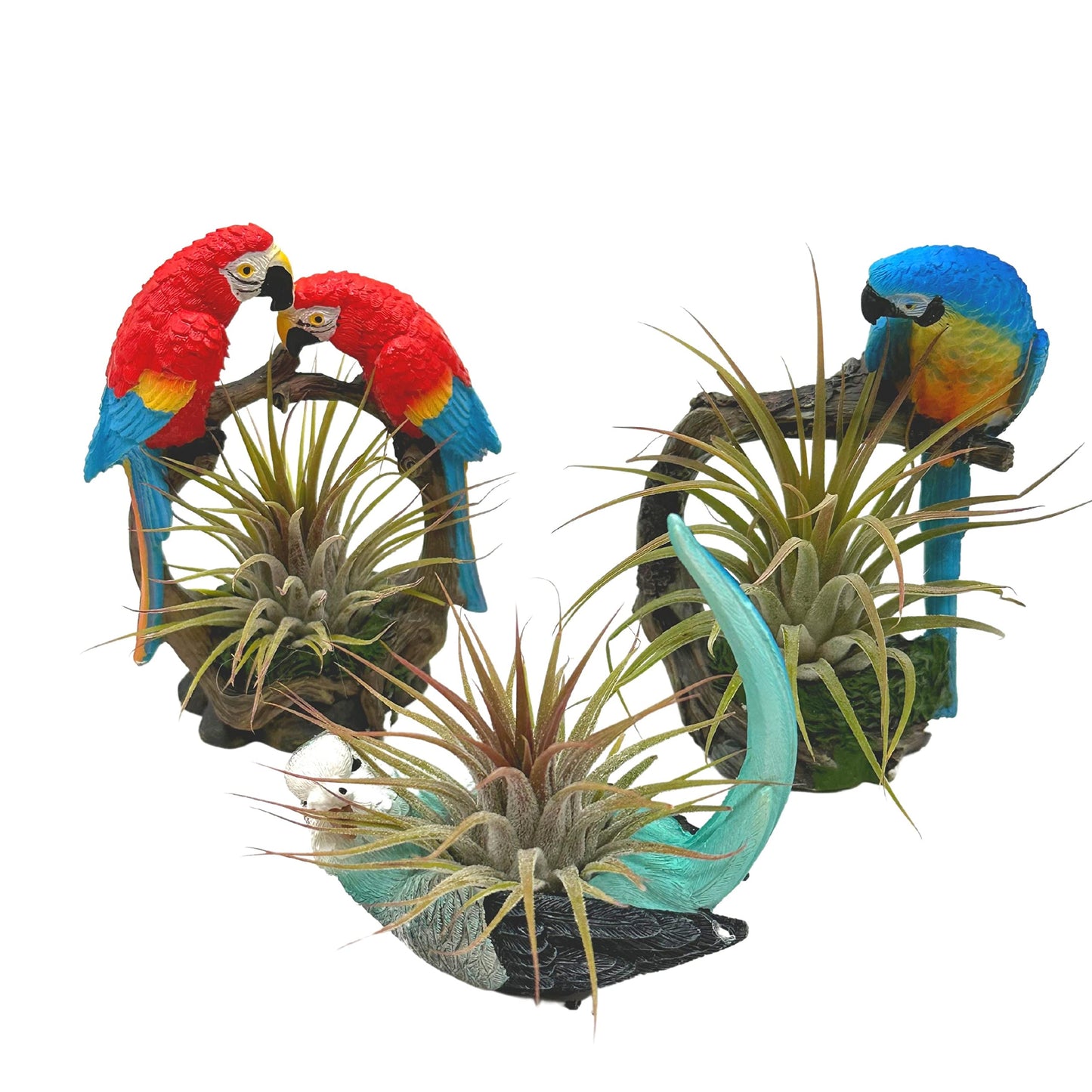 Resin Tropical Bird Air Plant Sculpture Tillandsia Planted in Hand Made Art Assorted Set of 3