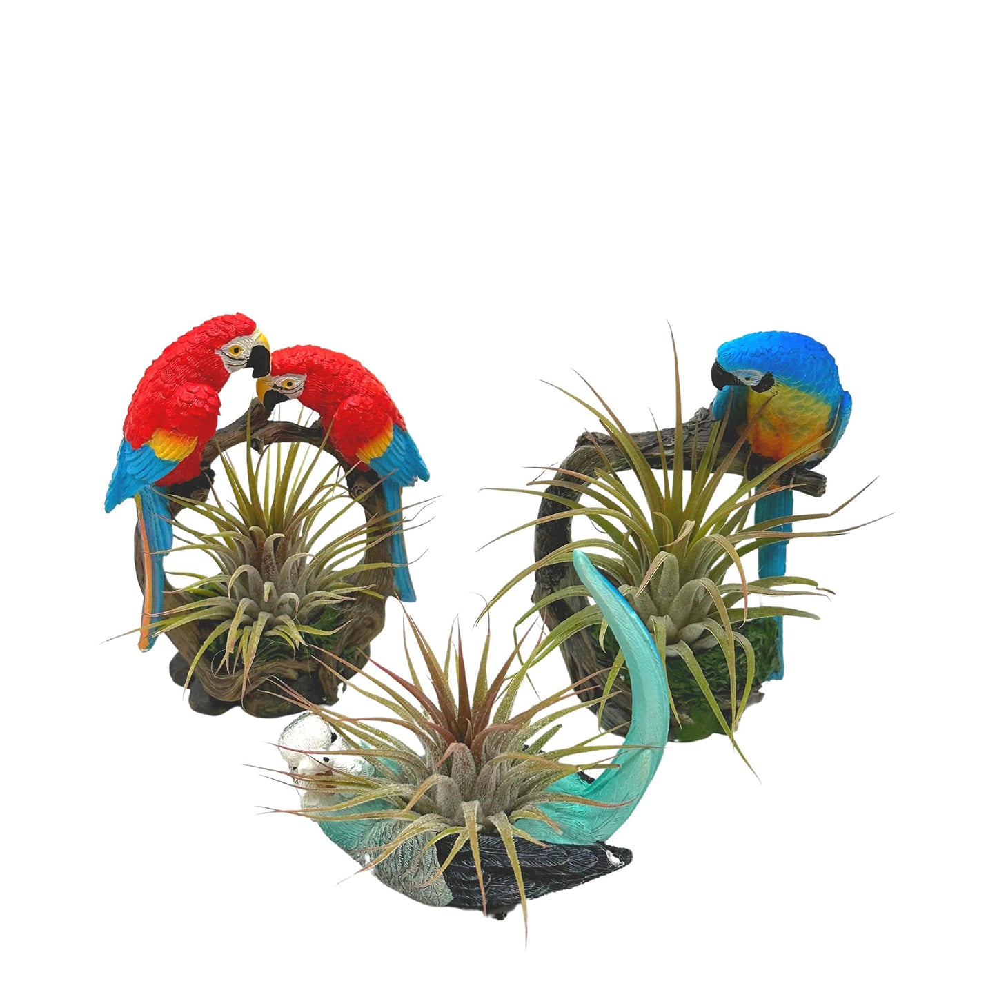 Resin Tropical Bird Air Plant Sculpture Tillandsia Planted in Hand Made Art Assorted Set of 3