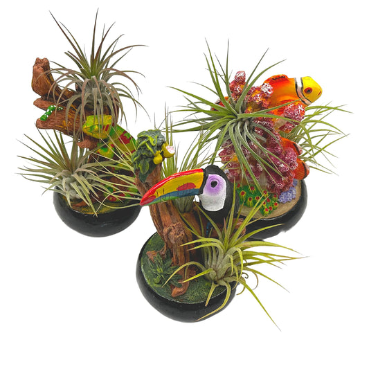 Resin Tropical Animal Air Plant Sculpture Tillandsia Planted in Hand Made Art Assorted Set of 3