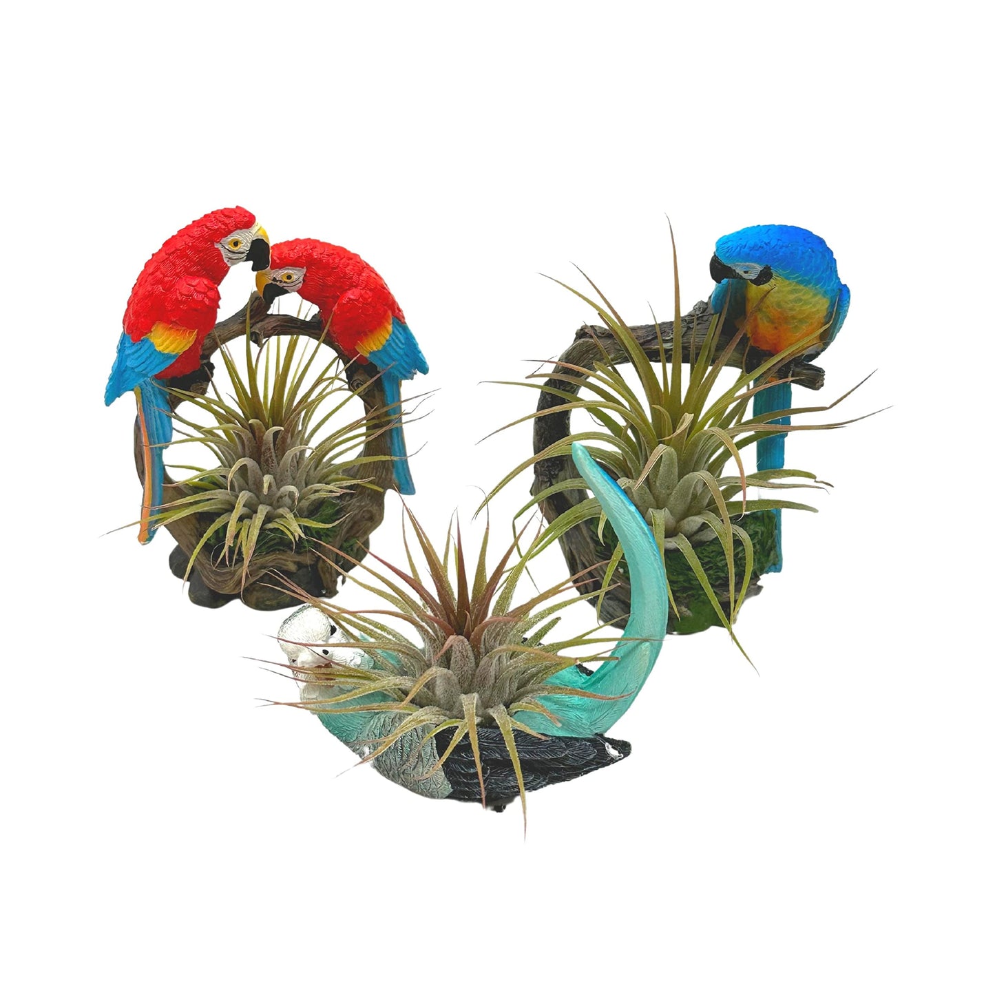 Resin Tropical Bird Air Plant Sculpture Tillandsia Planted in Hand Made Art Assorted Set of 3