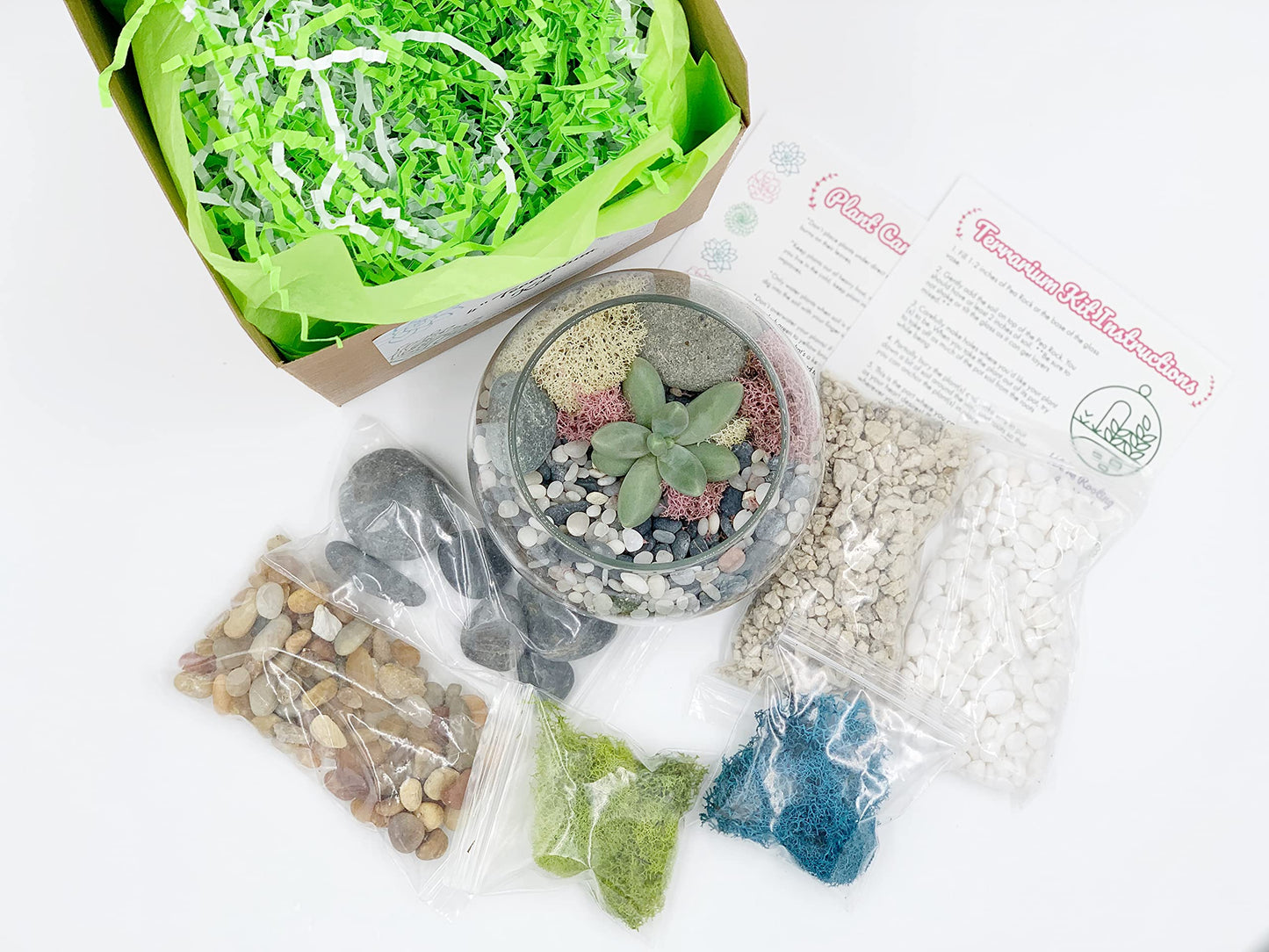 DIY Succulent Terrarium Gift Kit with Plants, Fairy Garden Kit with Reindeer Moss (Terrarium Kit Without Succulents)