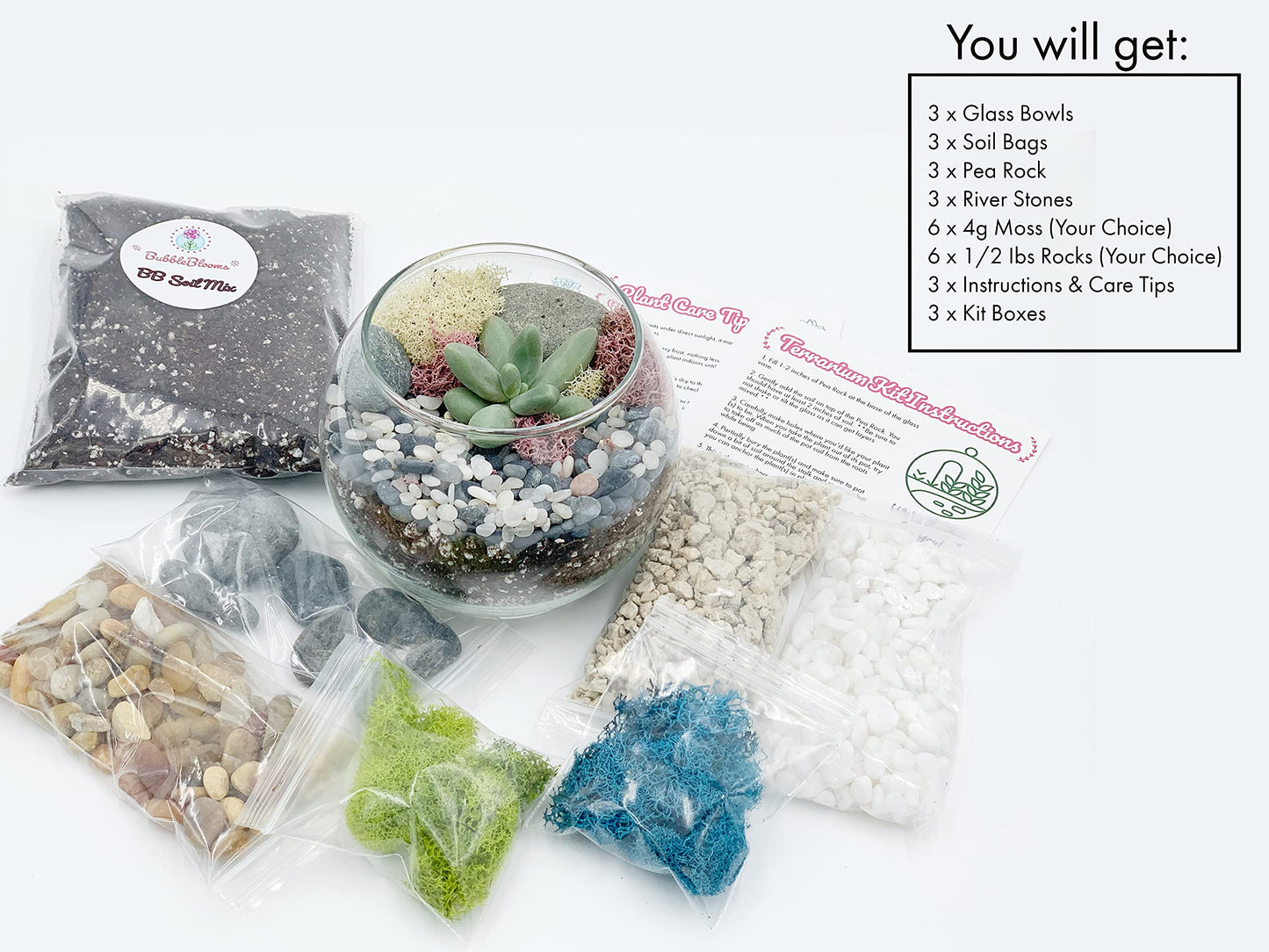 DIY Succulent Terrarium Gift Kit with Plants, Fairy Garden Kit with Reindeer Moss (Terrarium Kit Without Succulents)