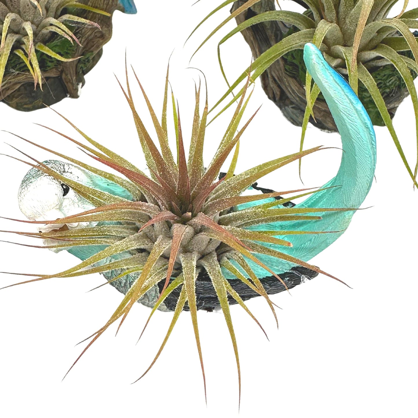 Resin Tropical Bird Air Plant Sculpture Tillandsia Planted in Hand Made Art Assorted Set of 3