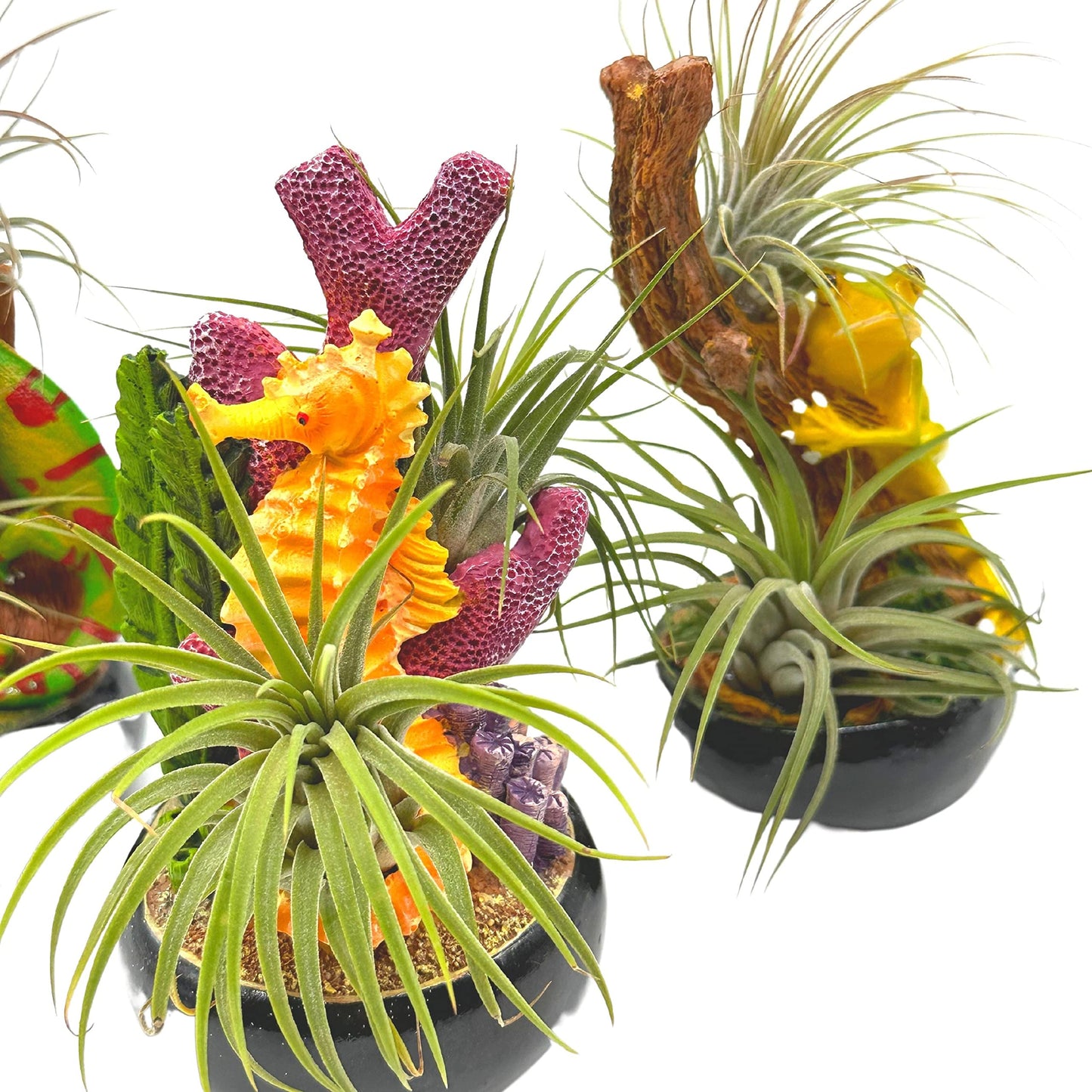 Resin Tropical Animal Air Plant Sculpture Tillandsia Planted in Hand Made Art Assorted Set of 3