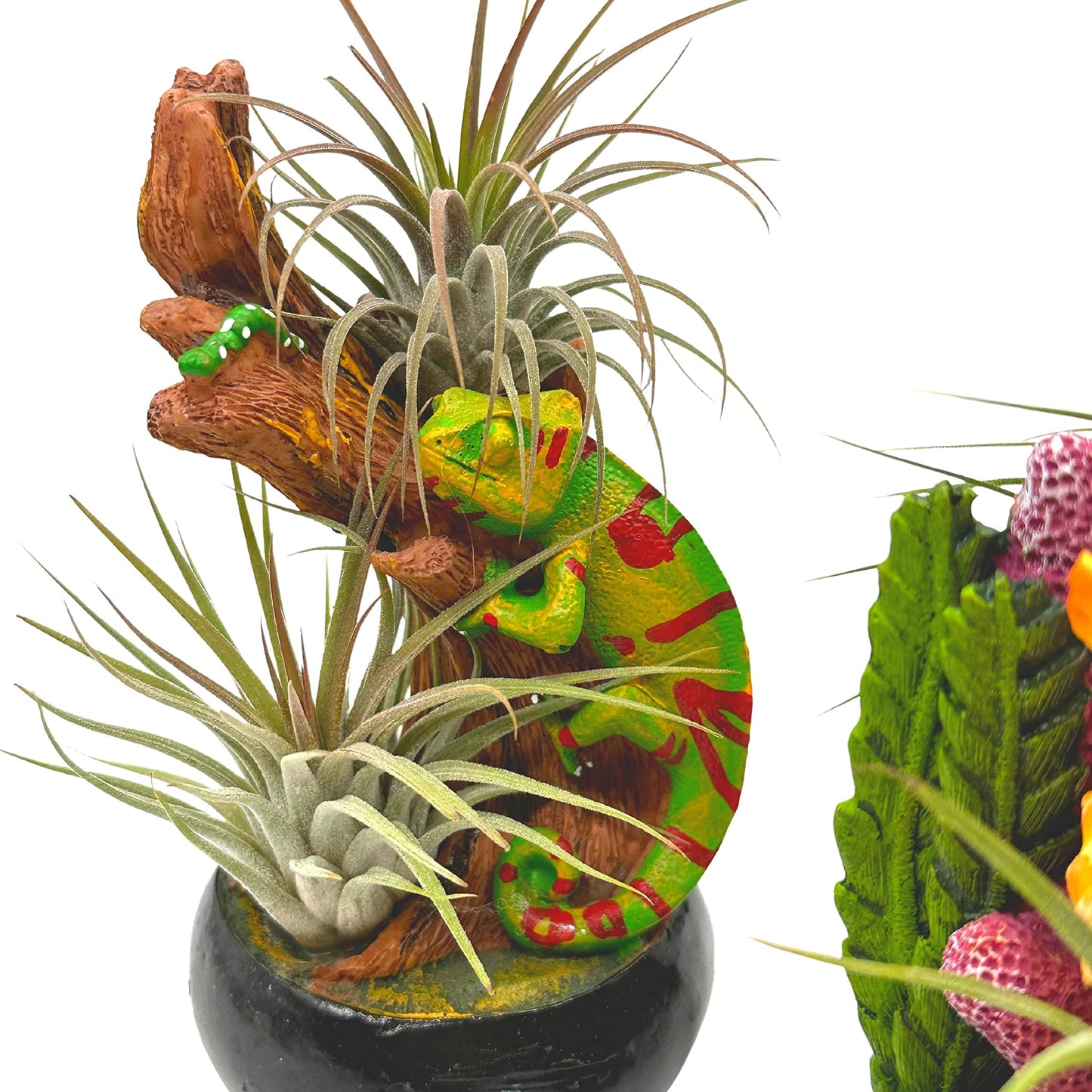 Resin Tropical Animal Air Plant Sculpture Tillandsia Planted in Hand Made Art Assorted Set of 3