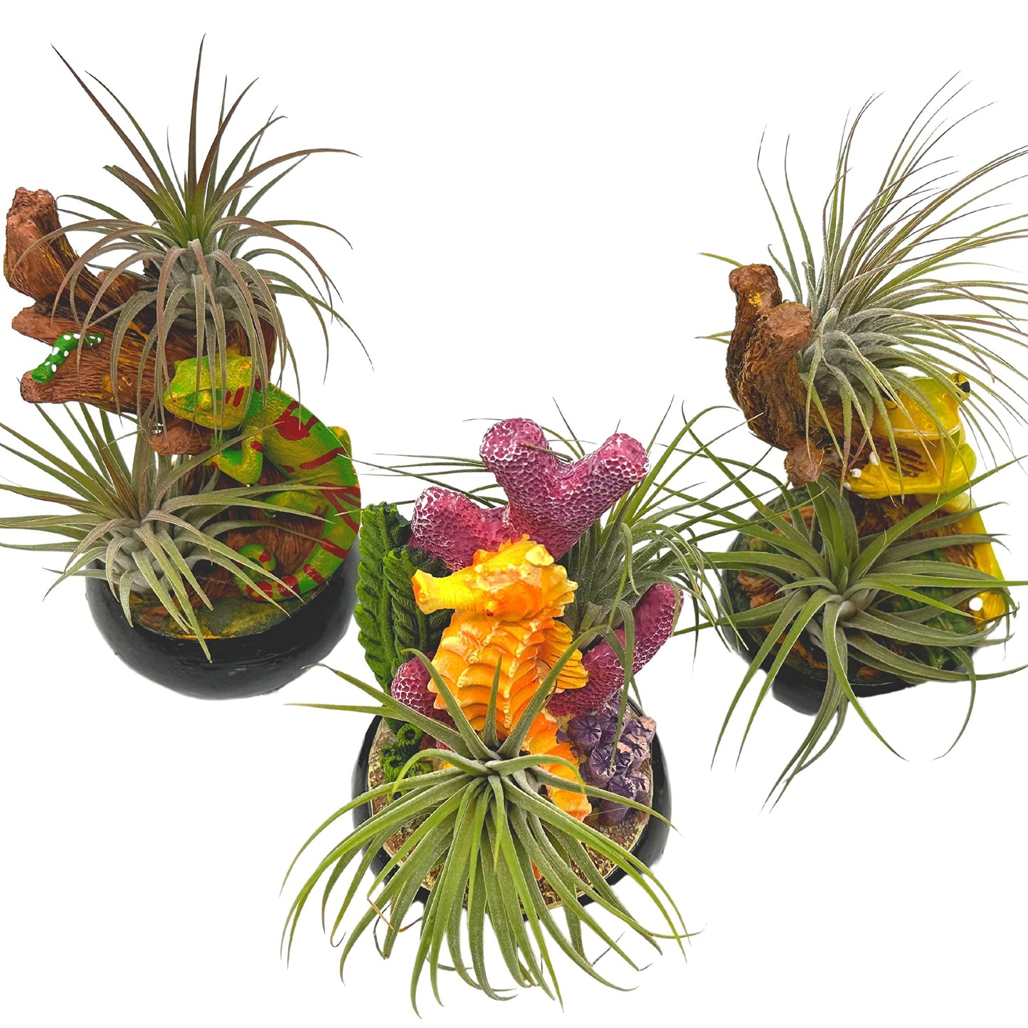 Resin Tropical Animal Air Plant Sculpture Tillandsia Planted in Hand Made Art Assorted Set of 3