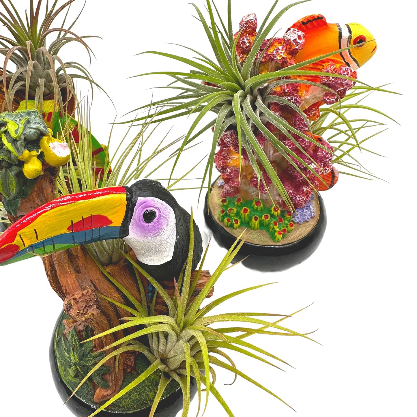 Resin Tropical Animal Air Plant Sculpture Tillandsia Planted in Hand Made Art Assorted Set of 3