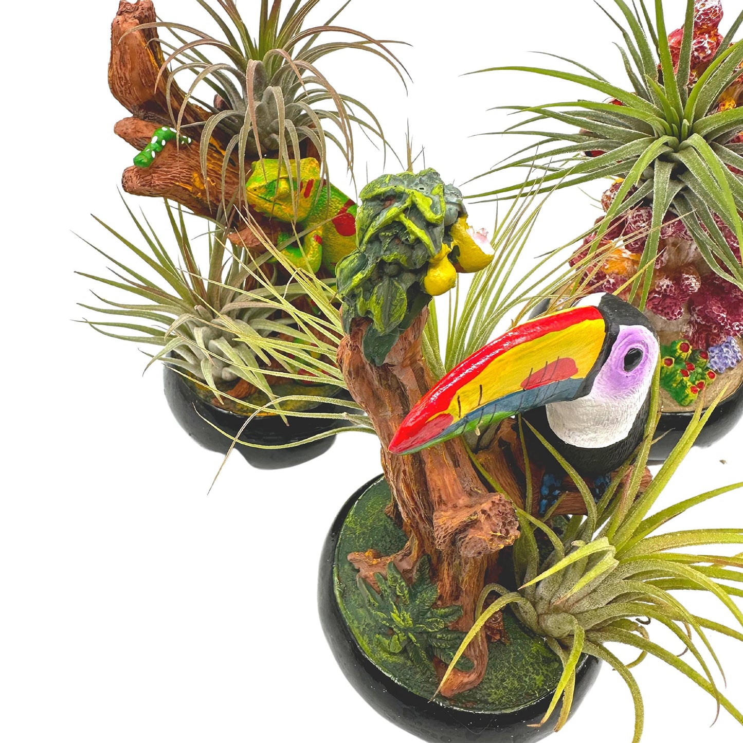 Resin Tropical Animal Air Plant Sculpture Tillandsia Planted in Hand Made Art Assorted Set of 3