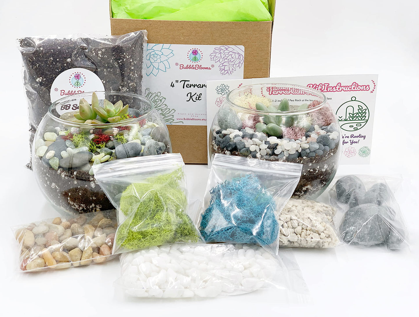 DIY Succulent Terrarium Gift Kit with Plants, Fairy Garden Kit with Reindeer Moss (Terrarium Kit Without Succulents)